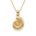 Coastal Nautilus pendant — FCP