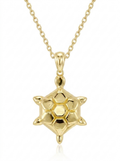 Honeycomb Turtle pendant — FCP